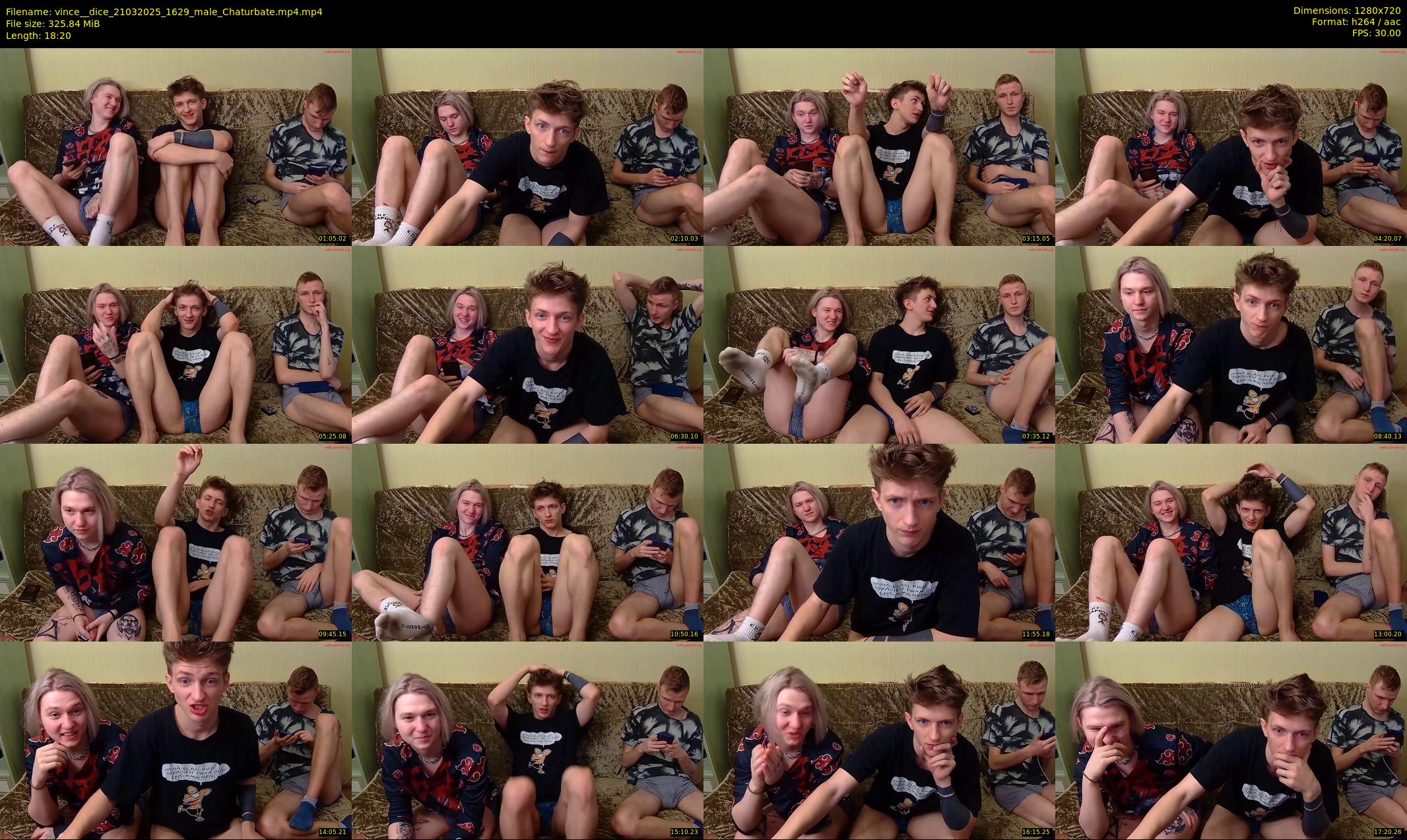 vince__dice — 19 minute Chaturbate male cam show recording, 720p, Mar 21, 2025