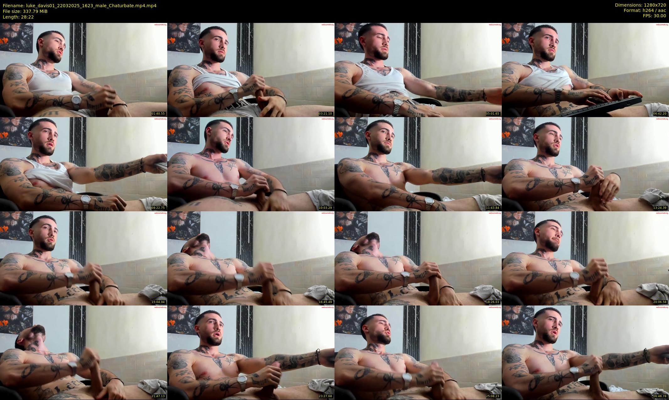 luke_davis01 — 29 minute Chaturbate male cam show recording, 720p, Mar 22, 2025