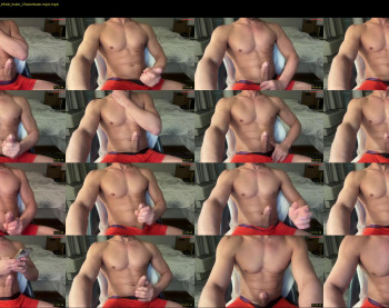 mrddiggler18 — 24 minute Chaturbate male cam show recording, 480p, Mar 22, 2025