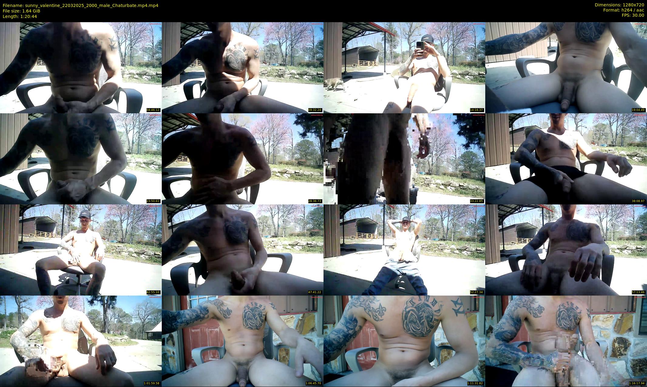 sunny_valentine — 81 minute Chaturbate male cam show recording, 720p, Mar 22, 2025