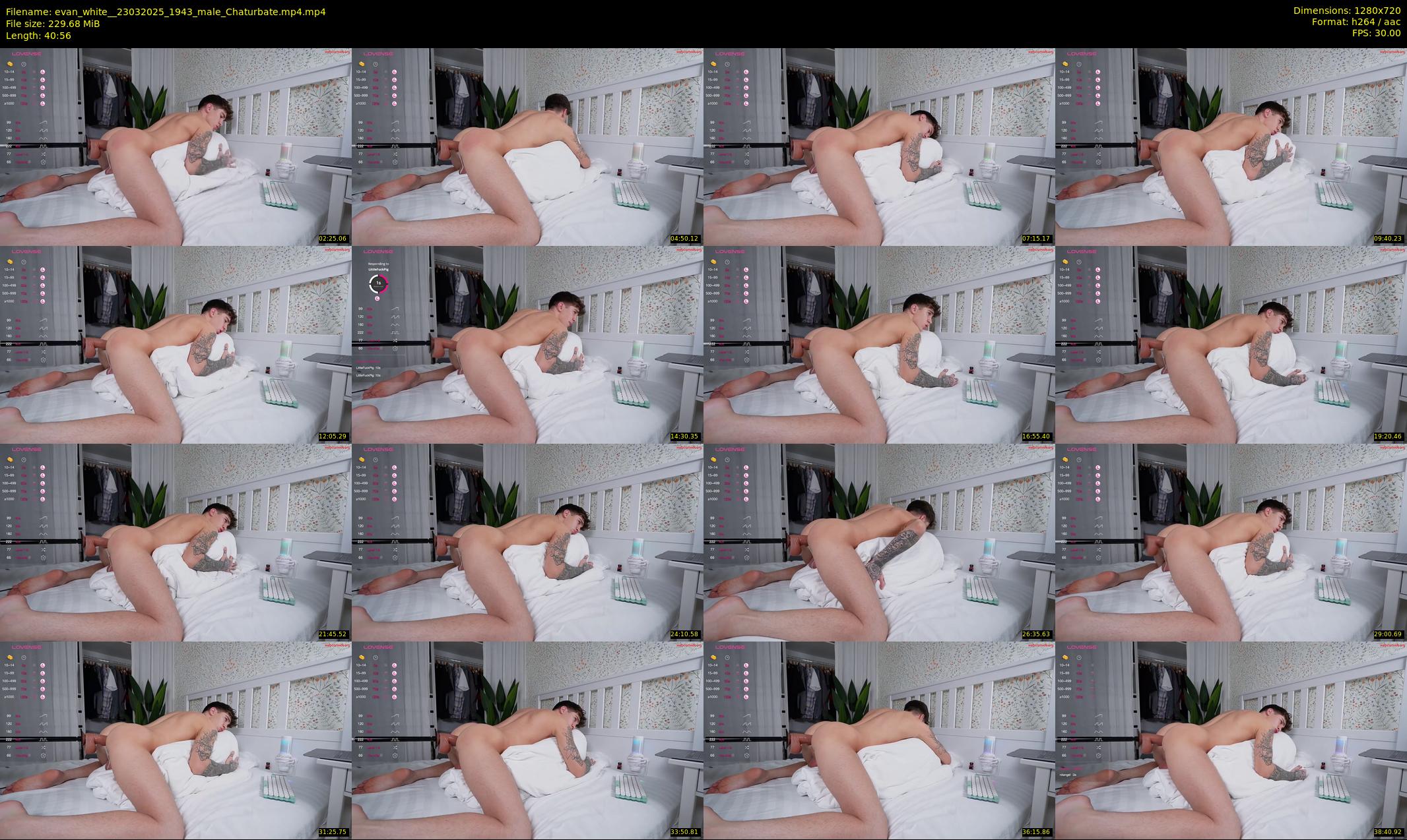 evan_white_ — 41 minute Chaturbate male cam show recording, 720p, Mar 23, 2025