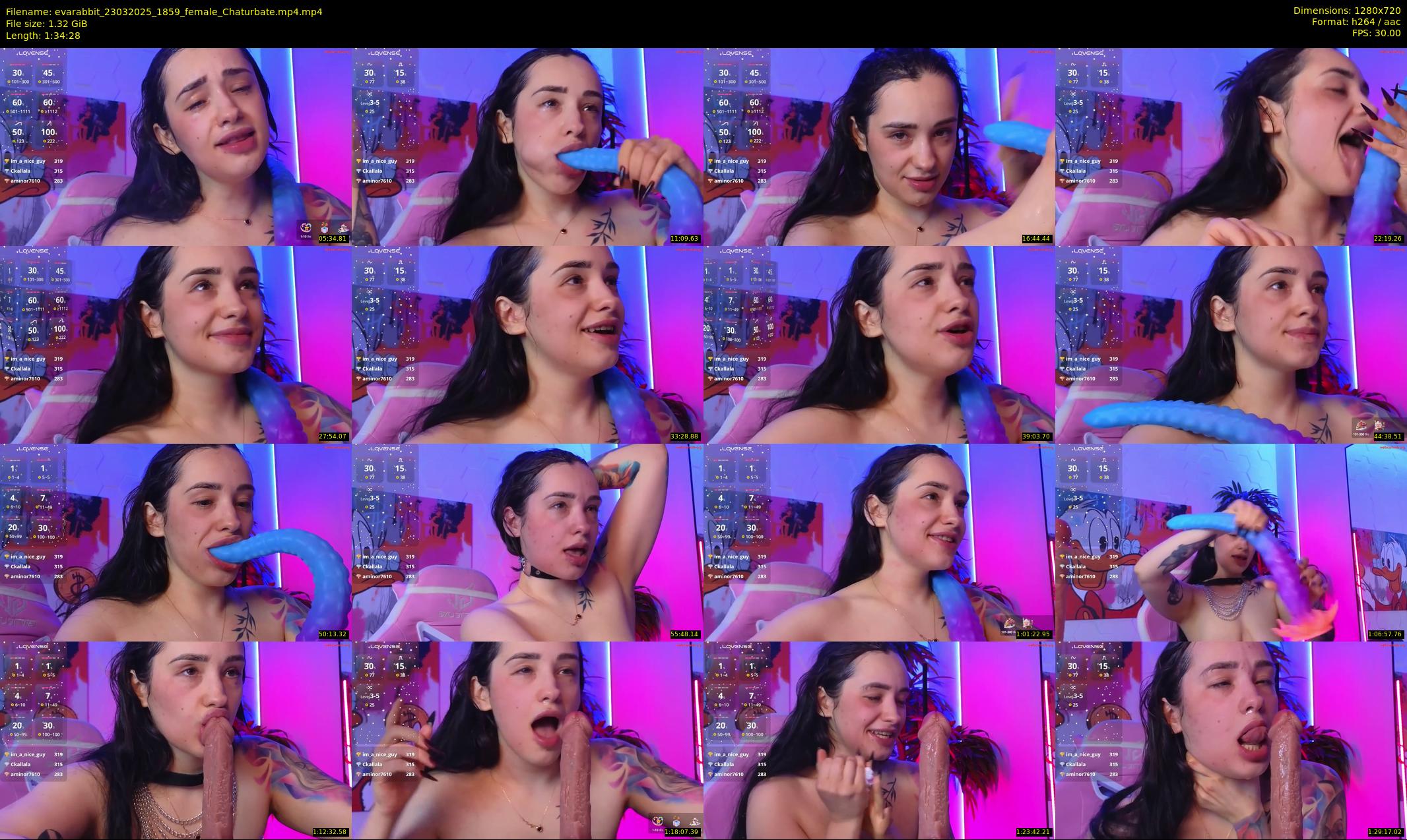 evarabbit — 95 minute Chaturbate female cam show recording, 720p, Mar 23, 2025