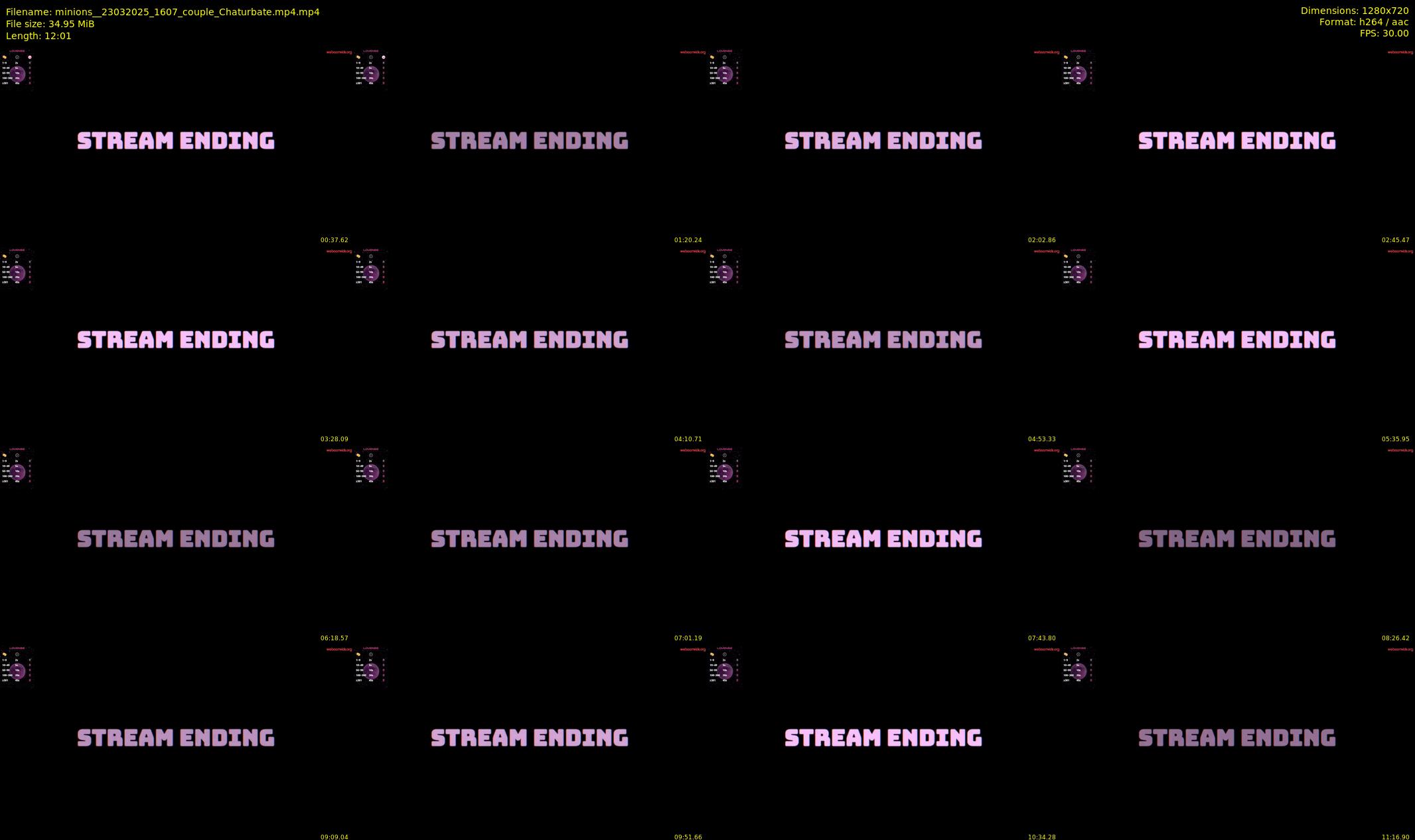 minions_ — 13 minute Chaturbate couple cam show recording, 720p, Mar 23, 2025