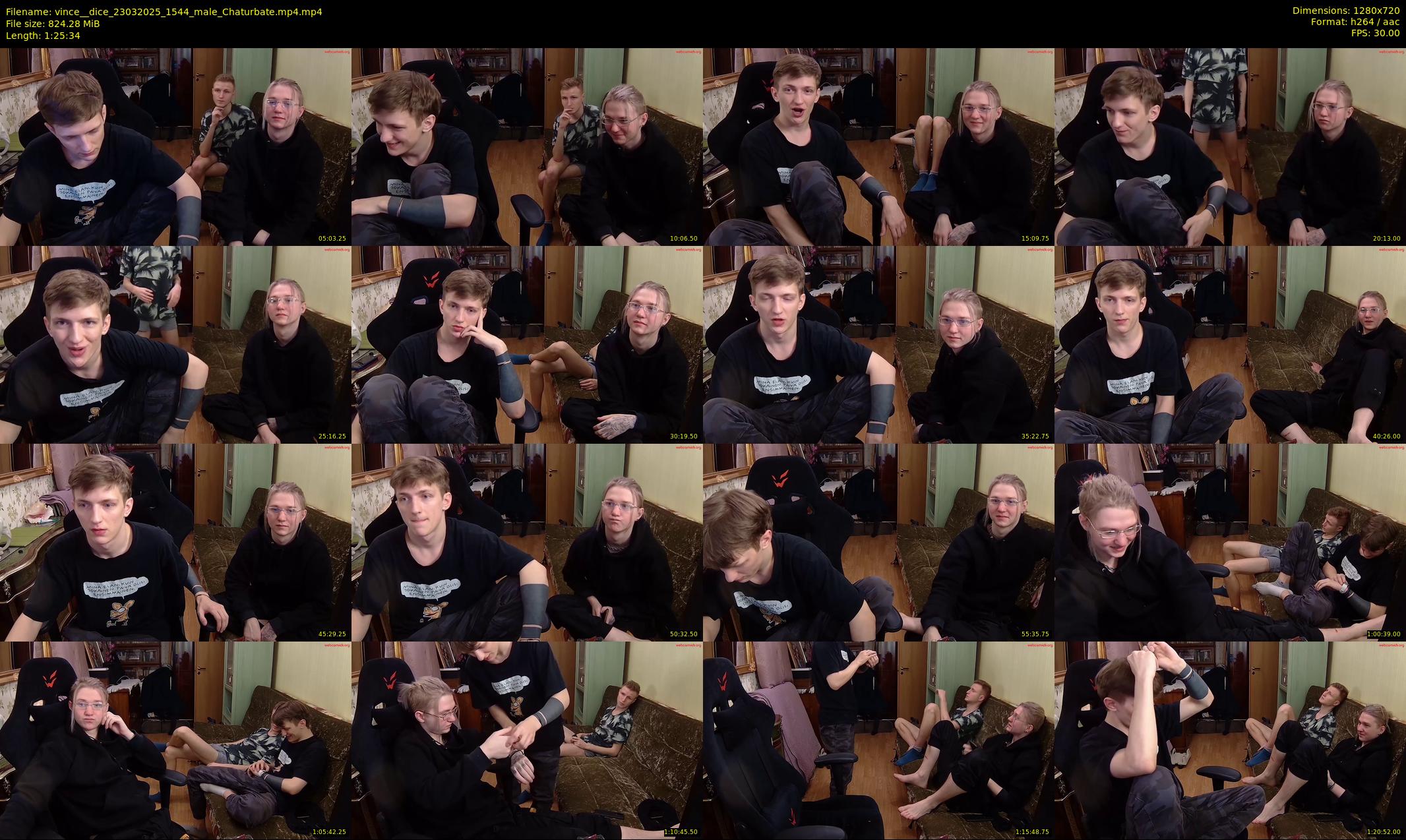 vince__dice — 86 minute Chaturbate male cam show recording, 720p, Mar 23, 2025