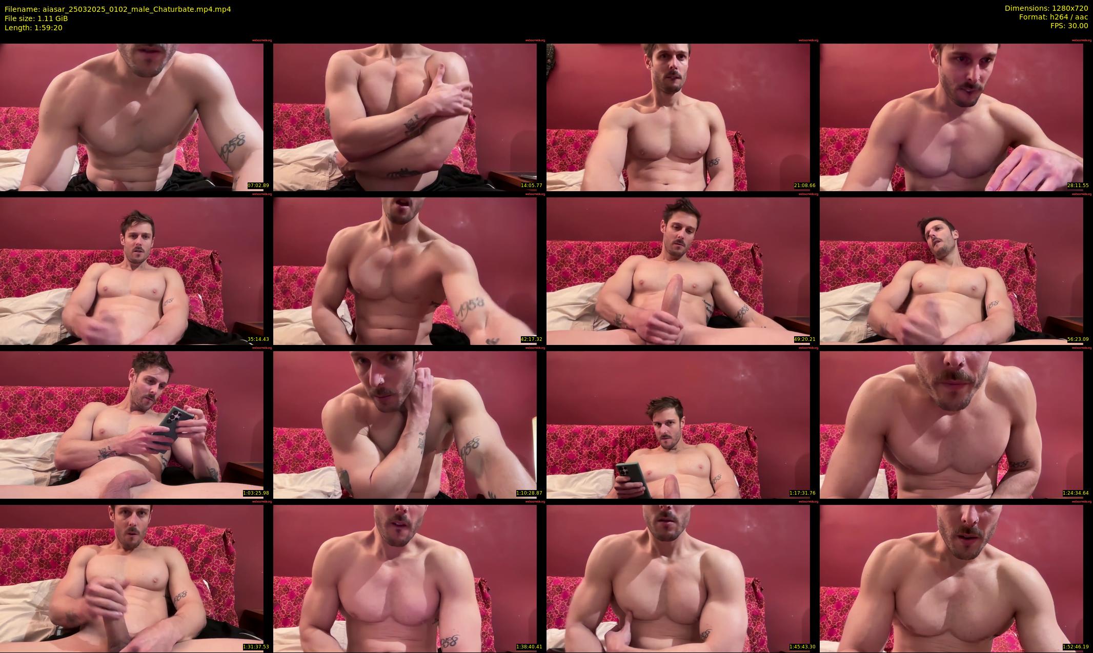 aiasar — 120 minute Chaturbate male cam show recording, 720p, Mar 25, 2025