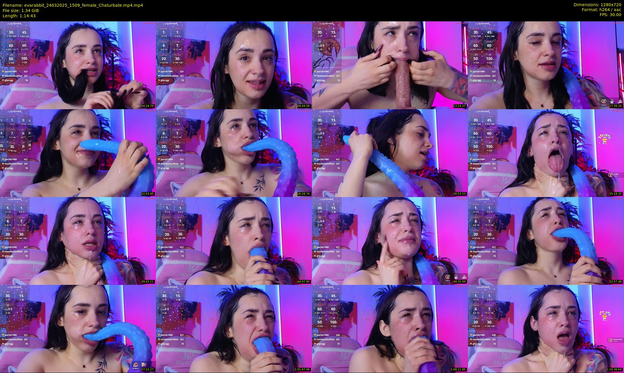 evarabbit — 75 minute Chaturbate female cam show recording, 720p, Mar 24, 2025