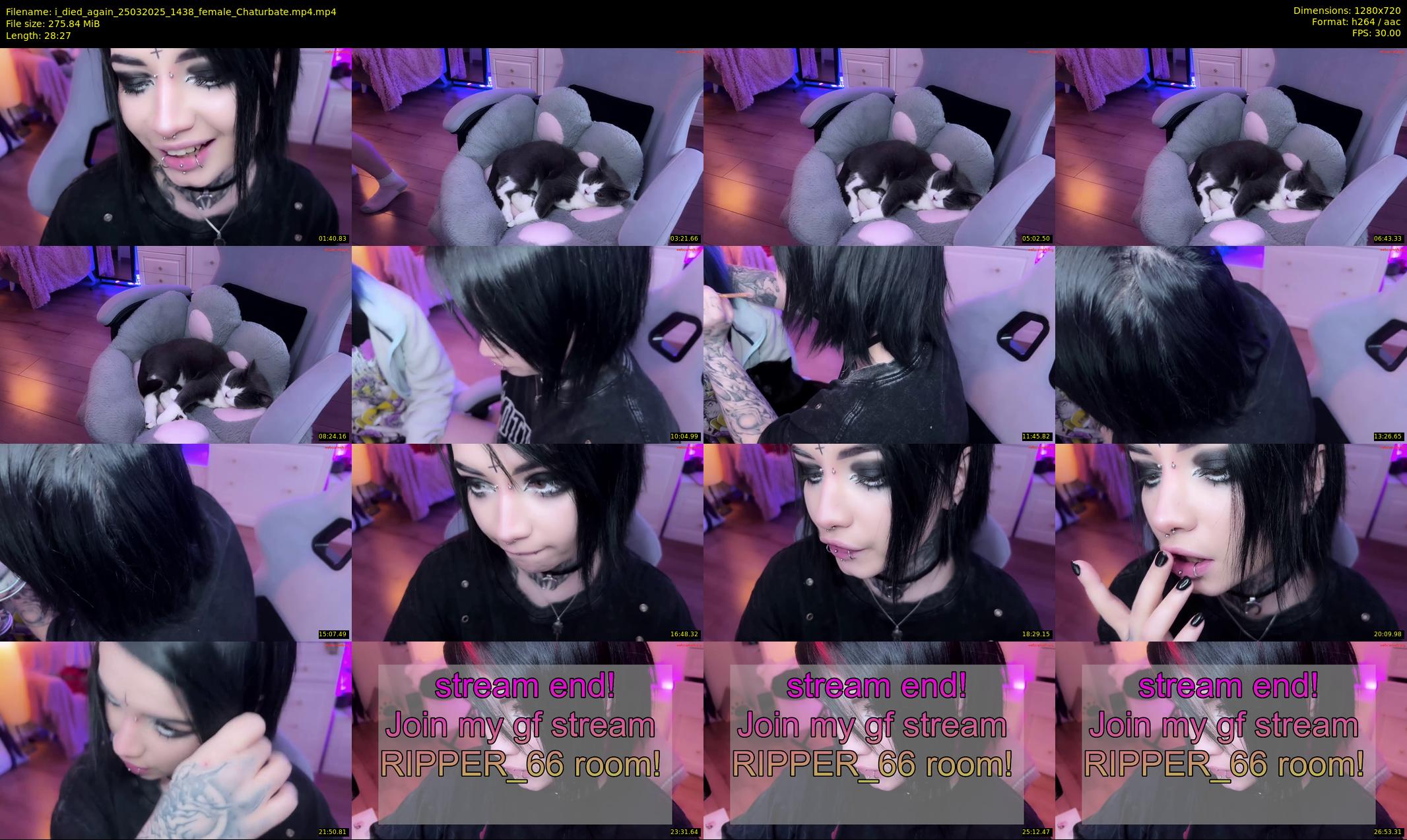 i_died_again — 29 minute Chaturbate female cam show recording, 720p, Mar 25, 2025
