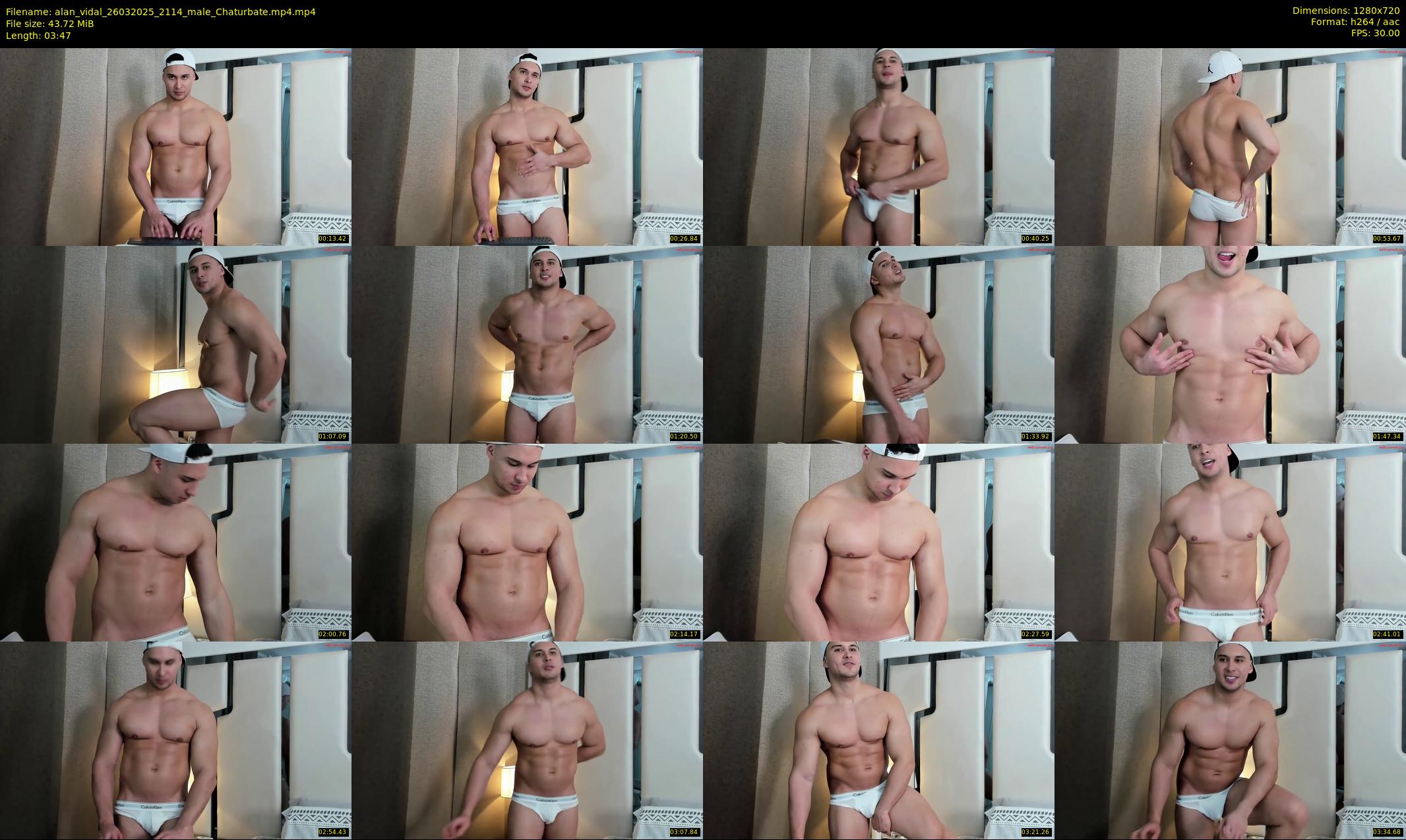 alan_vidal — 4 minute Chaturbate male cam show recording, 720p, Mar 26, 2025