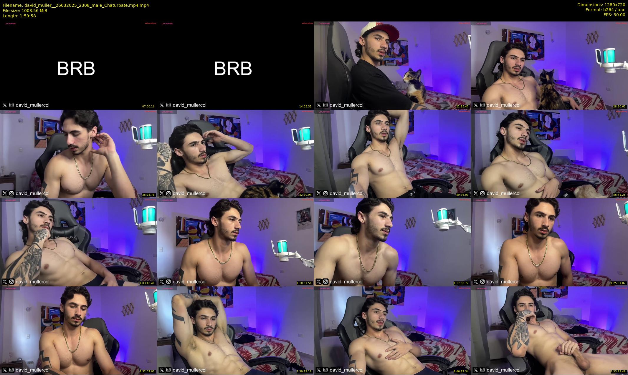 david_muller_ — 120 minute Chaturbate male cam show recording, 720p, Mar 26, 2025
