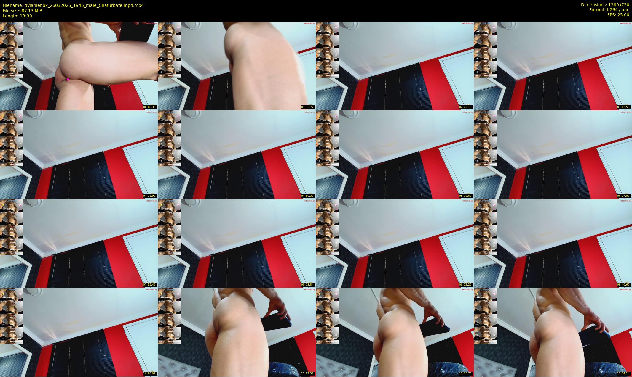 dylanlenox — 14 minute Chaturbate male cam show recording, 720p, Mar 26, 2025