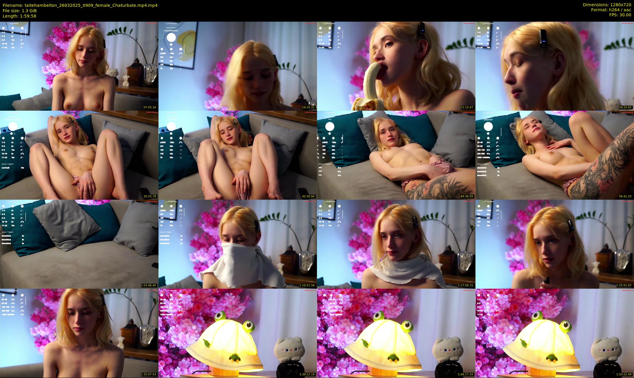 taitehambelton — 120 minute Chaturbate female cam show recording, 720p, Mar 26, 2025