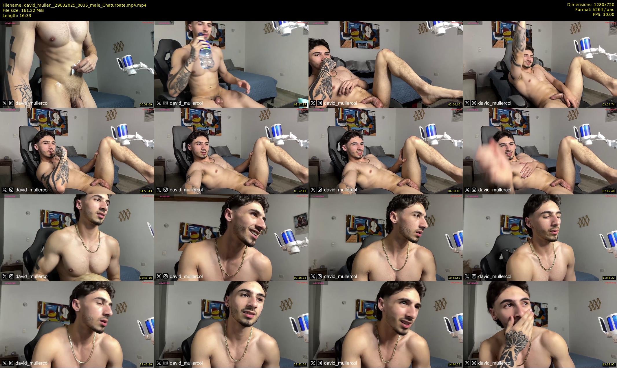 david_muller_ — 17 minute Chaturbate male cam show recording, 720p, Mar 29, 2025