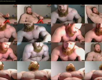 pec_inspector — 41 minute Chaturbate male cam show recording, 720p, Mar 28, 2025
