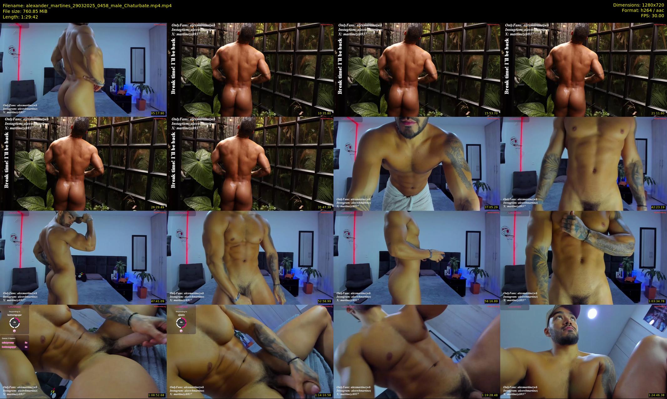 alexander_martines — 90 minute Chaturbate male cam show recording, 720p, Mar 29, 2025