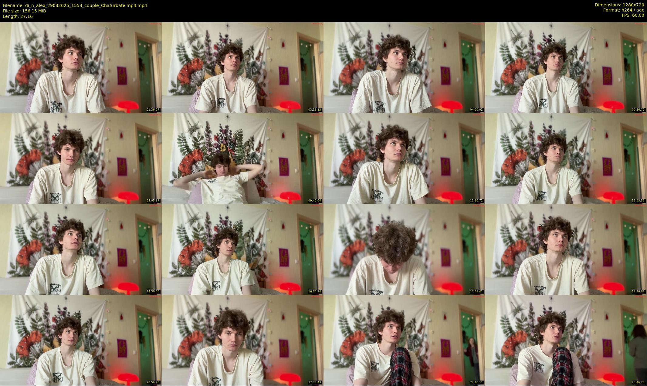 di_n_alex — 28 minute Chaturbate couple cam show recording, 720p, Mar 29, 2025