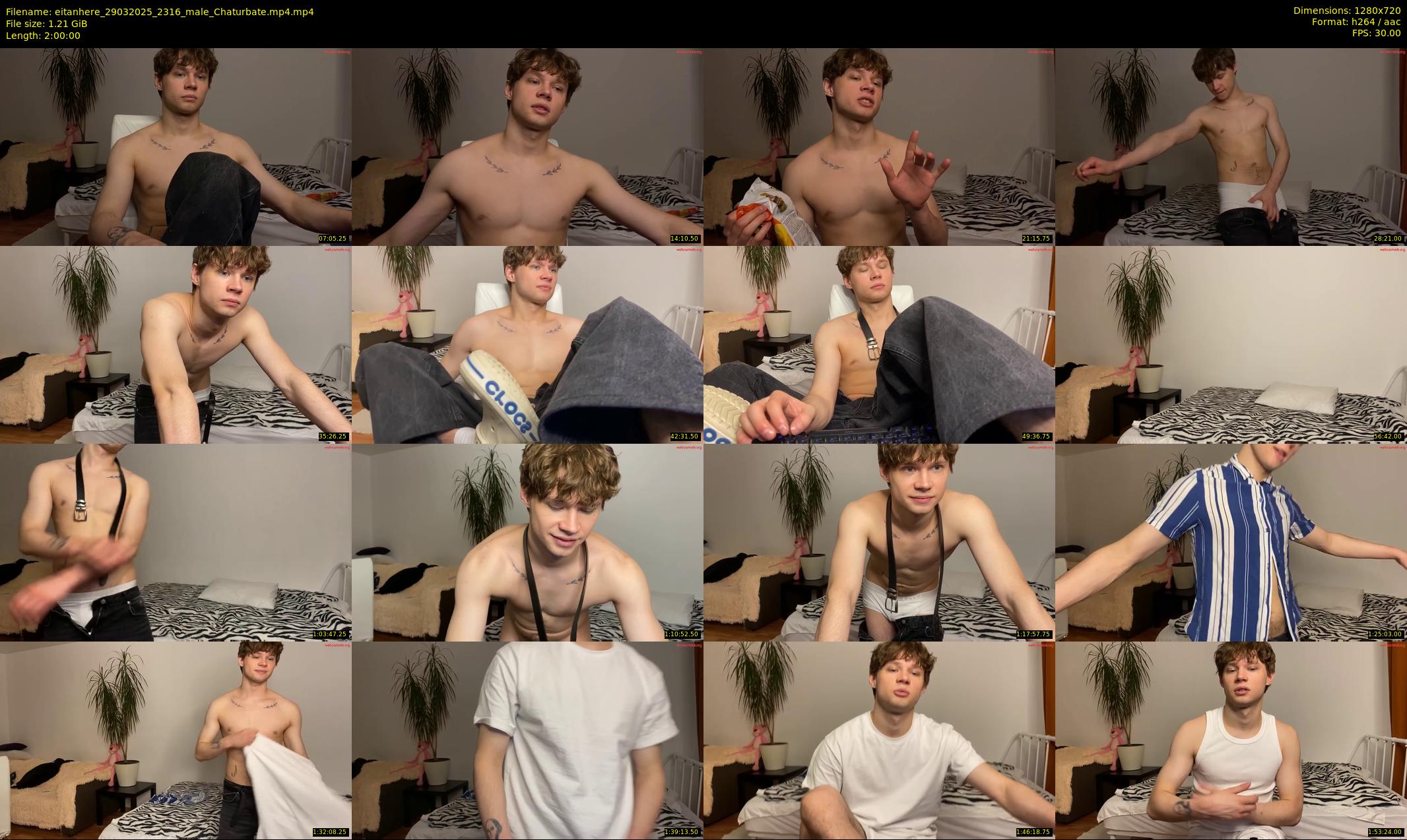 eitanhere — 120 minute Chaturbate male cam show recording, 720p, Mar 29, 2025