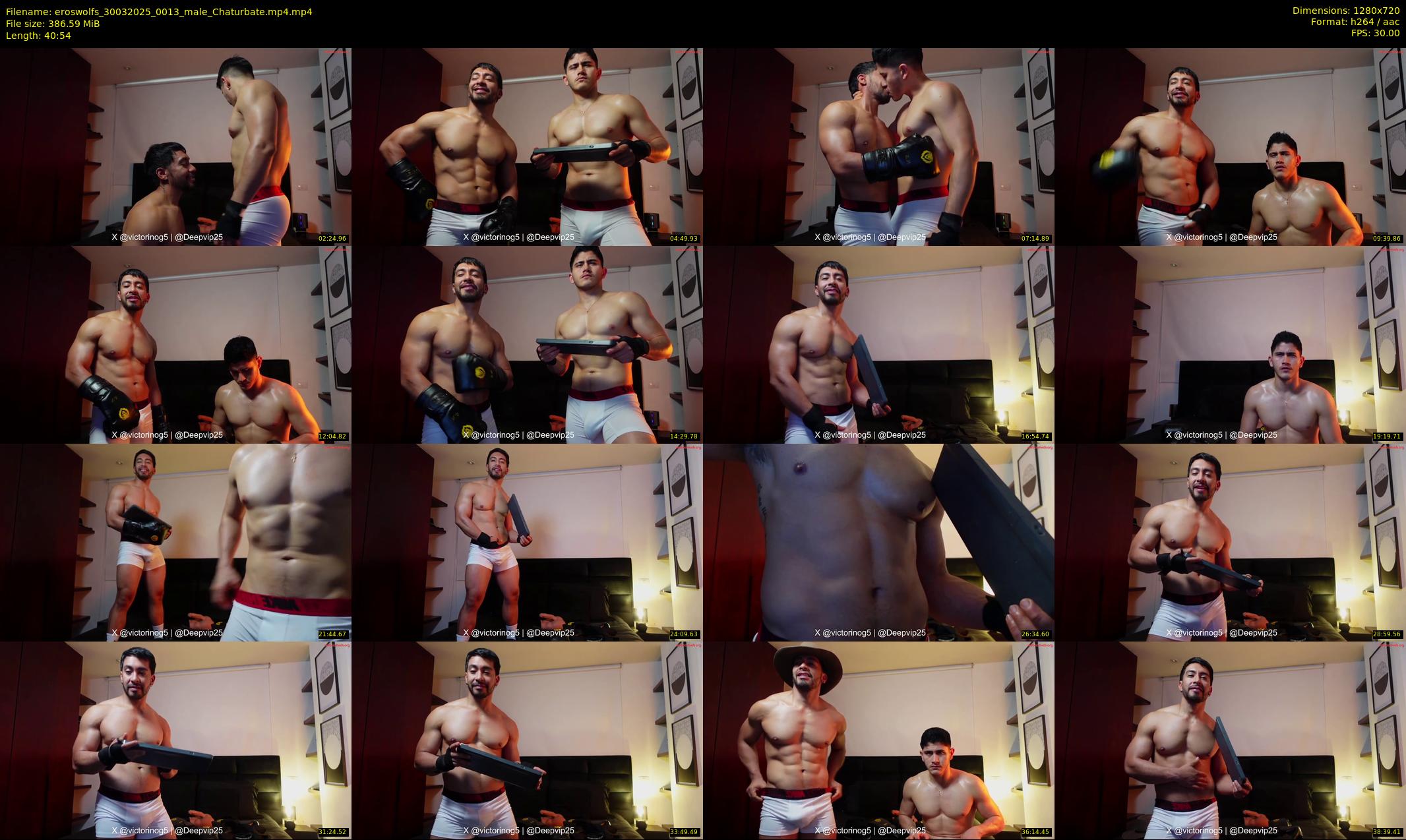 eroswolfs — 41 minute Chaturbate male cam show recording, 720p, Mar 30, 2025