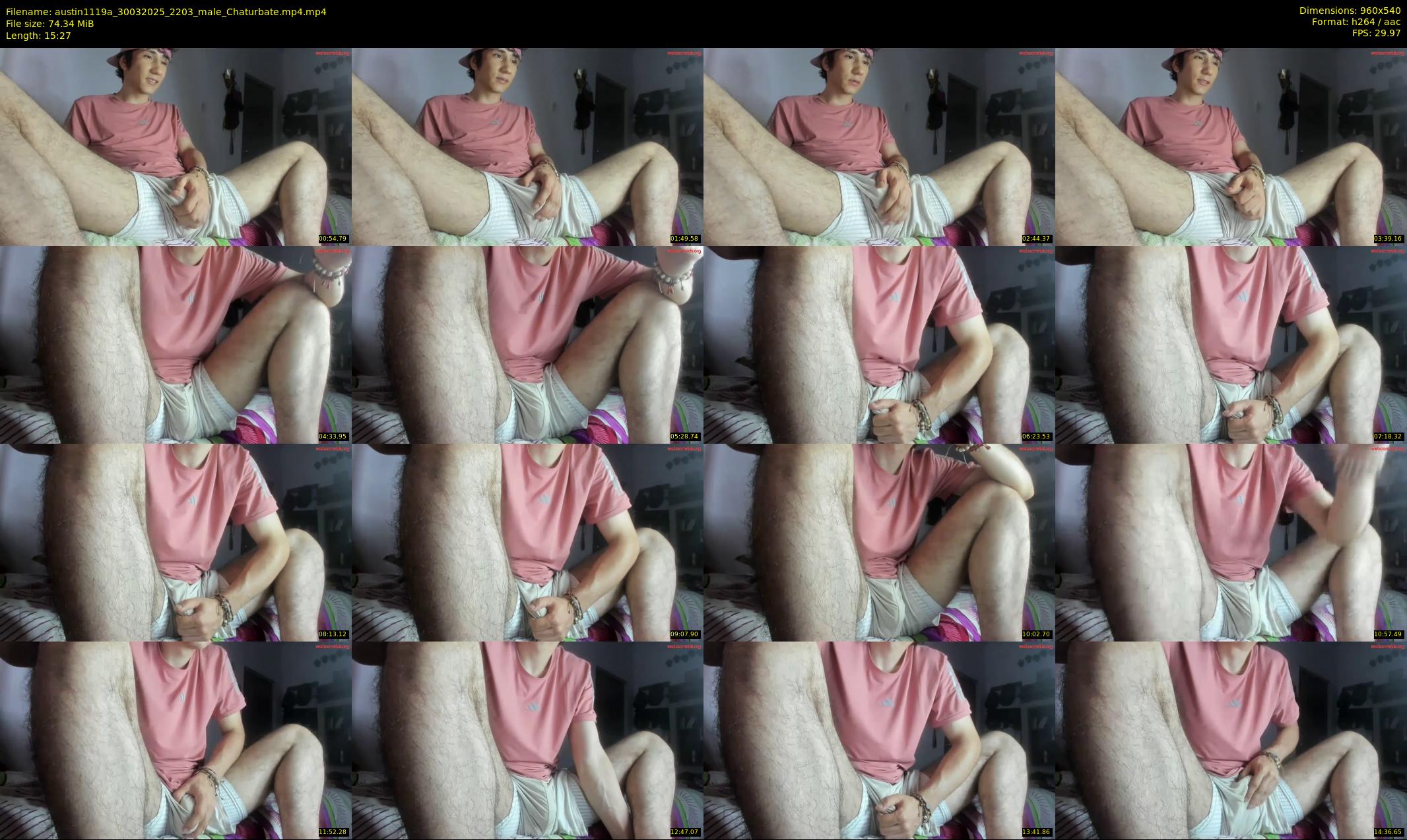 austin1119a — 16 minute Chaturbate male cam show recording, 480p, Mar 30, 2025