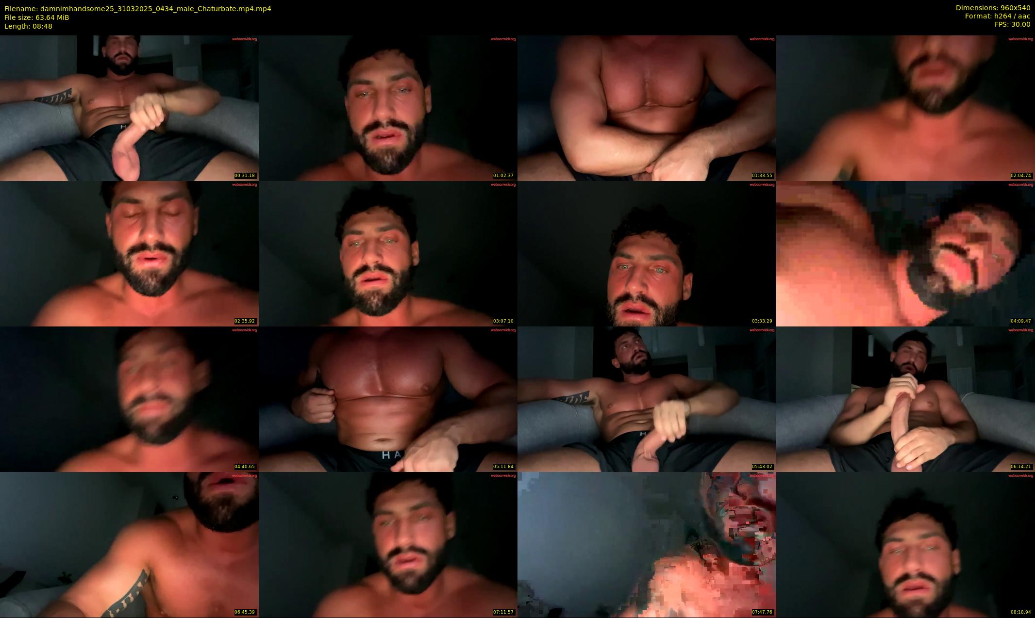 damnimhandsome25 — 9 minute Chaturbate male cam show recording, 480p, Mar 31, 2025
