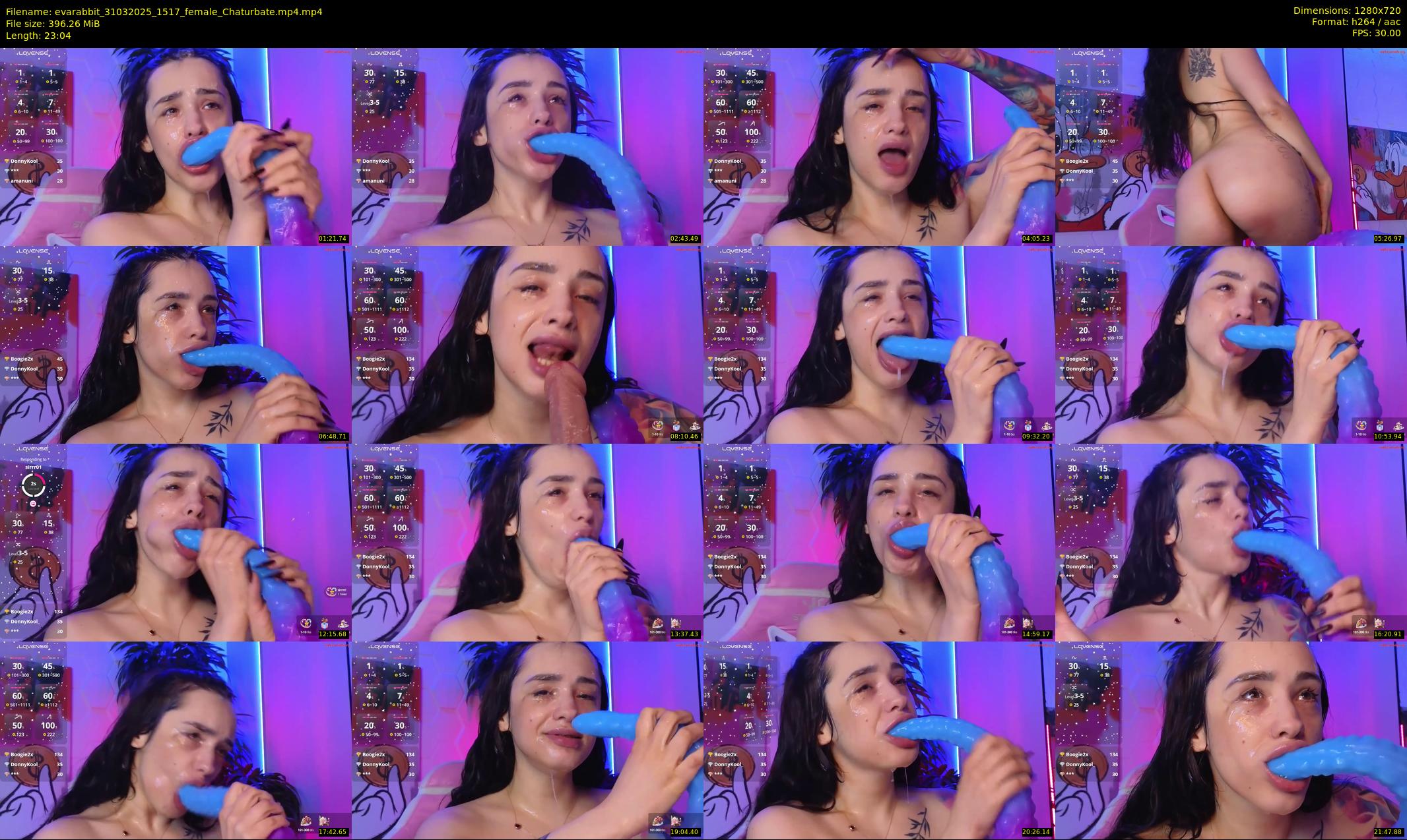 evarabbit — 24 minute Chaturbate female cam show recording, 720p, Mar 31, 2025