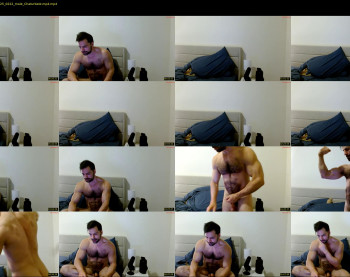 therealkingyoshi — 6 minute Chaturbate male cam show recording, 720p, Apr 1, 2025