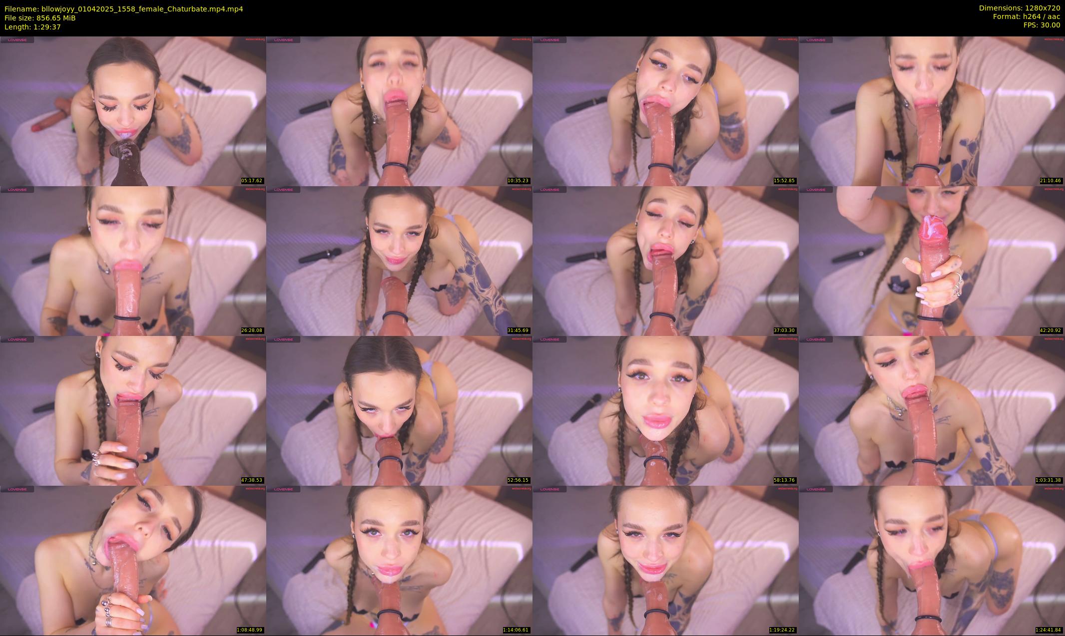 bllowjoyy — 90 minute Chaturbate female cam show recording, 720p, Apr 1, 2025