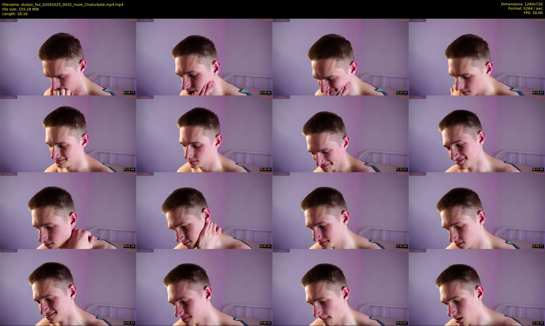 dustyn_fox — 19 minute Chaturbate male cam show recording, 720p, Apr 2, 2025