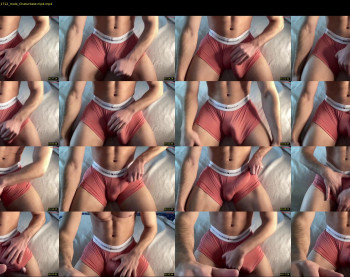 bestdick1991 — 11 minute Chaturbate male cam show recording, 720p, Apr 2, 2025