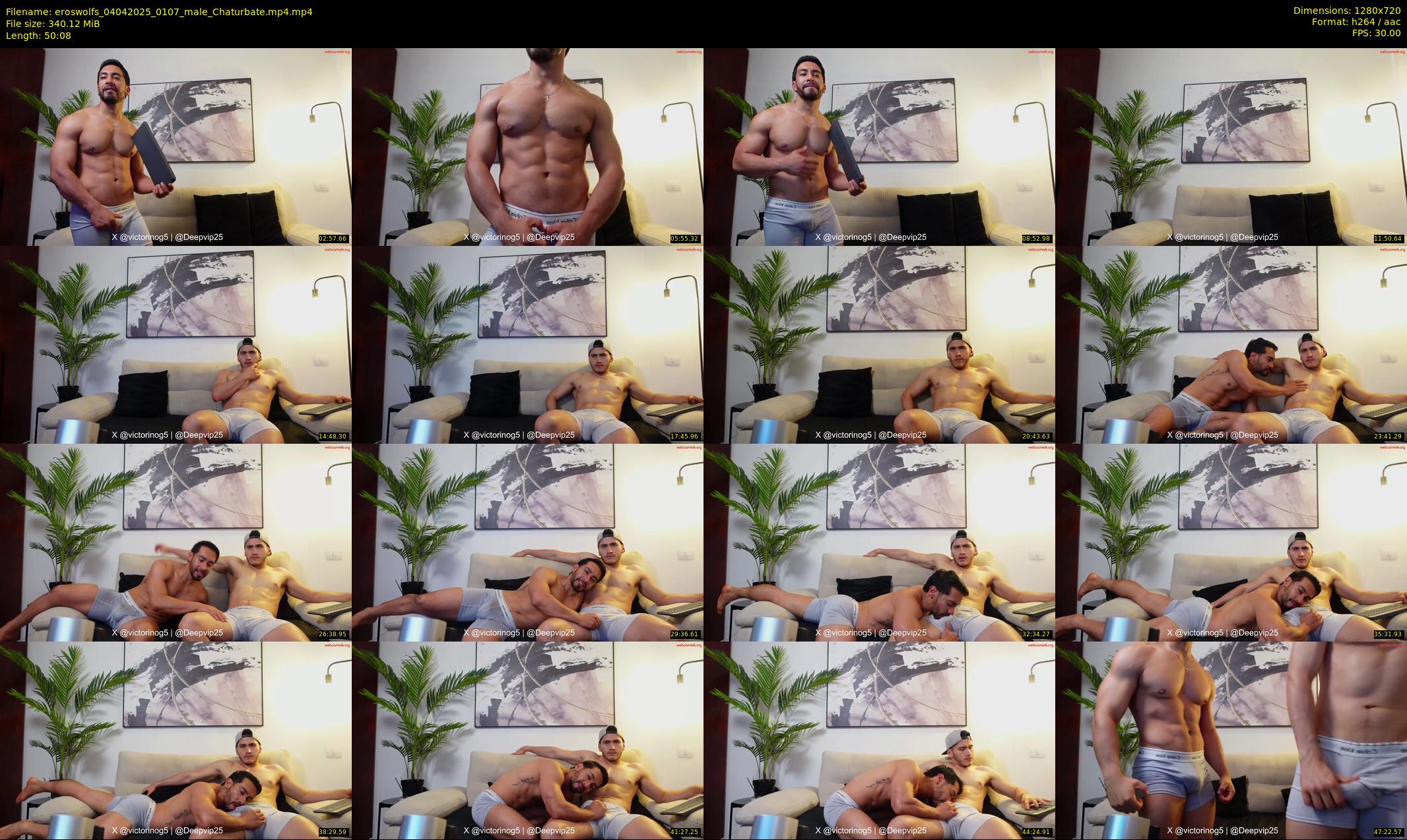eroswolfs — 51 minute Chaturbate male cam show recording, 720p, Apr 4, 2025