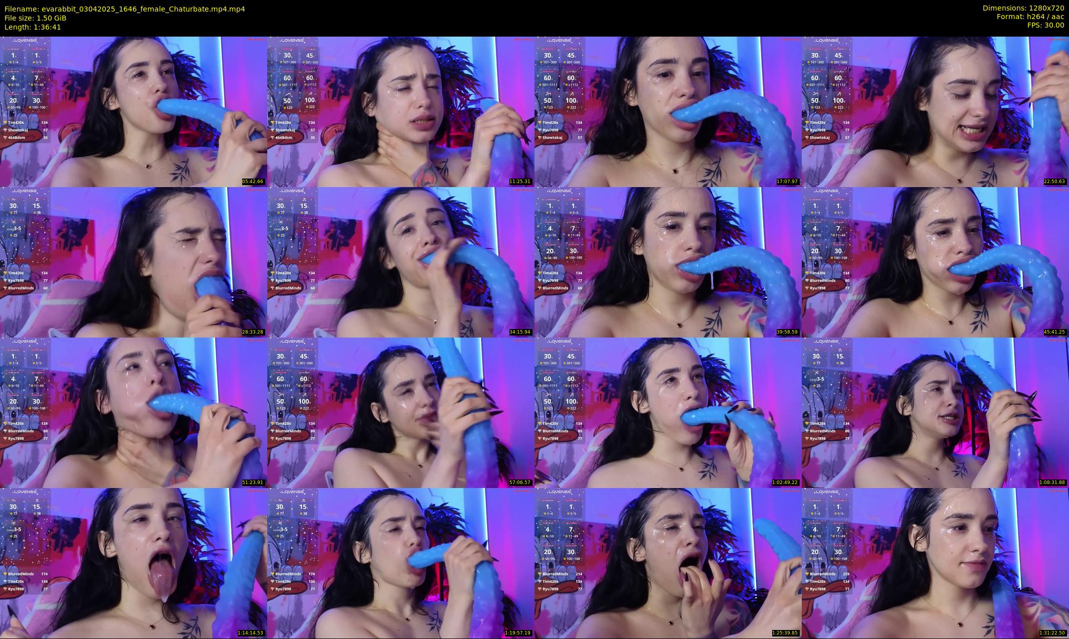 evarabbit — 97 minute Chaturbate female cam show recording, 720p, Apr 3, 2025