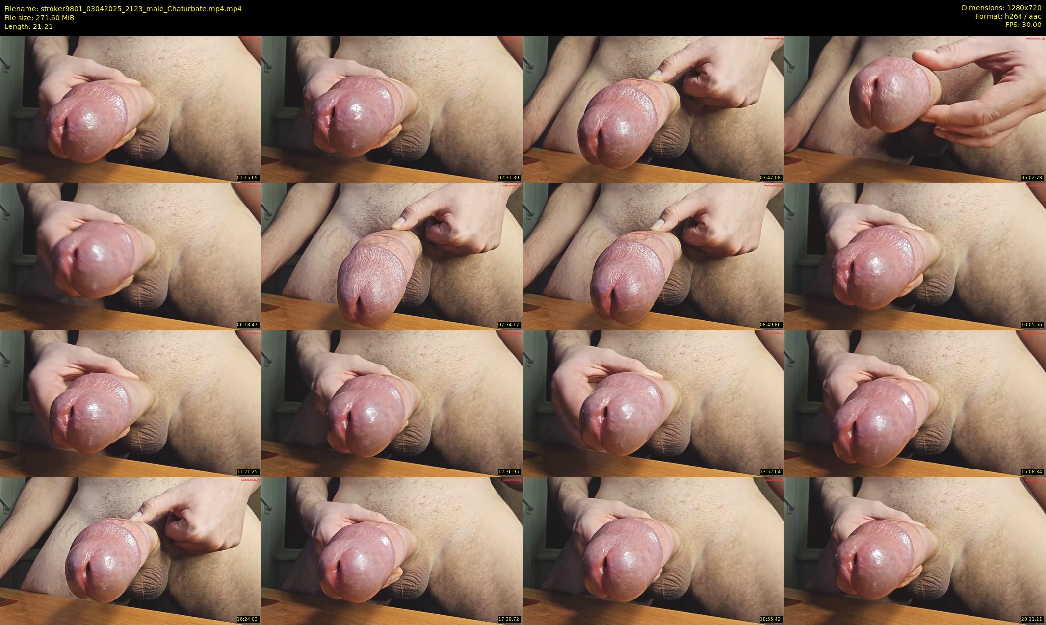 stroker9801 — 22 minute Chaturbate male cam show recording, 720p, Apr 3, 2025