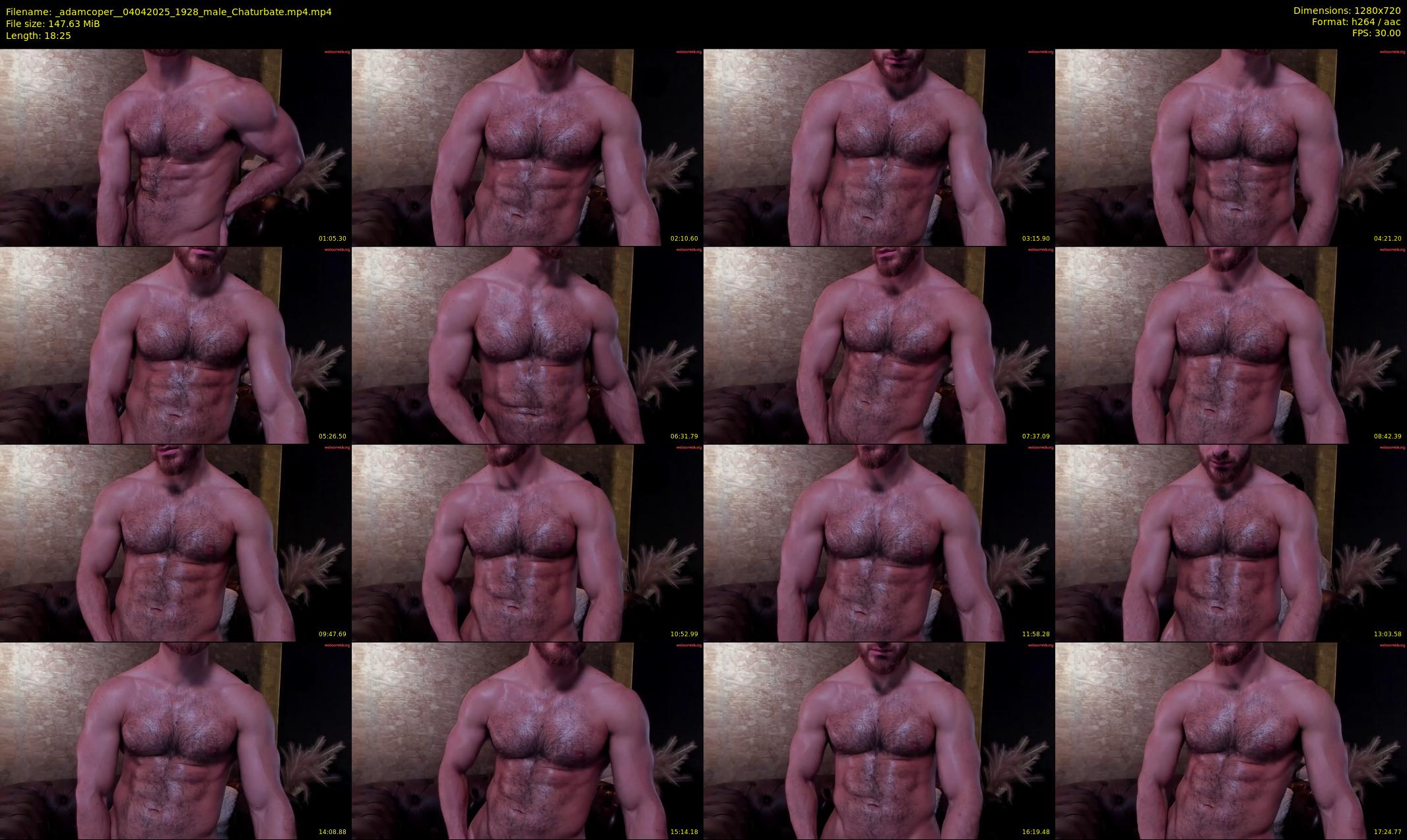 _adamcoper_ — 19 minute Chaturbate male cam show recording, 720p, Apr 4, 2025
