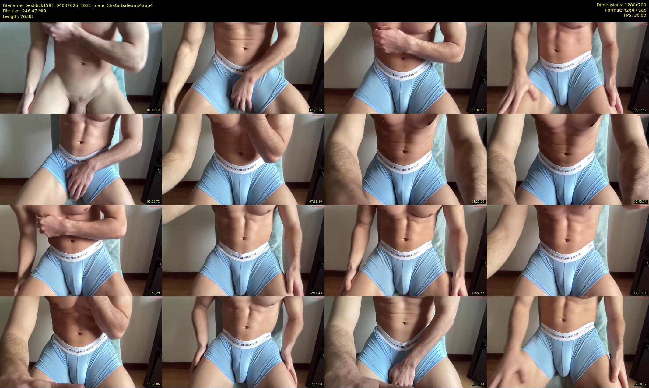 bestdick1991 — 21 minute Chaturbate male cam show recording, 720p, Apr 4, 2025