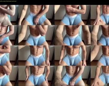 bestdick1991 — 21 minute Chaturbate male cam show recording, 720p, Apr 4, 2025