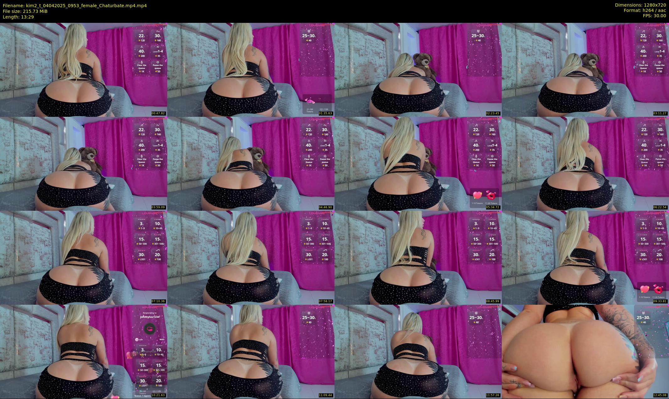 kim2_t — 14 minute Chaturbate female cam show recording, 720p, Apr 4, 2025