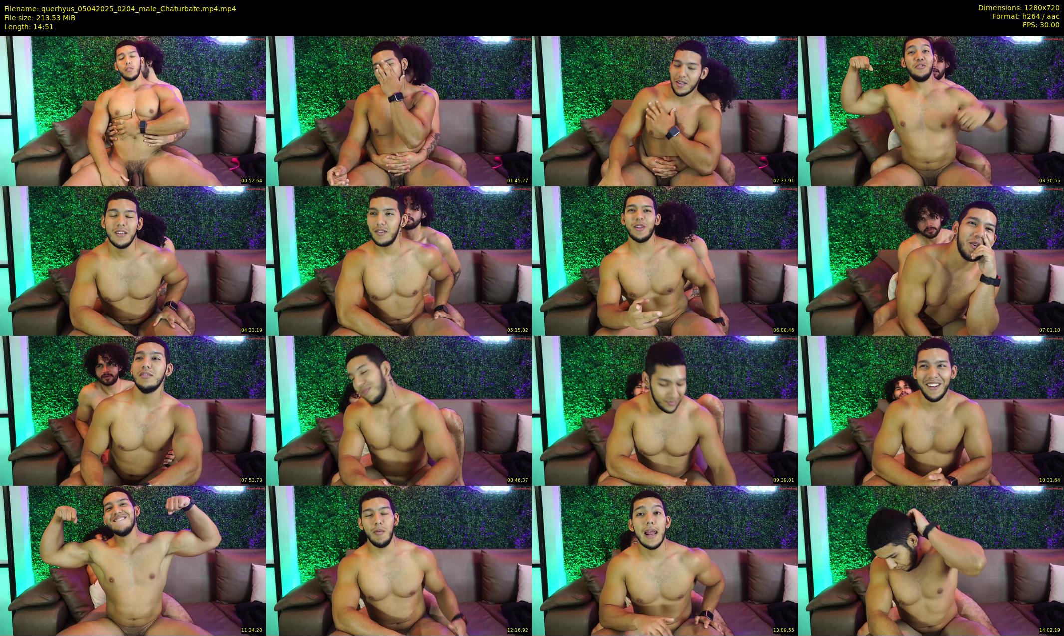 querhyus — 15 minute Chaturbate male cam show recording, 720p, Apr 5, 2025
