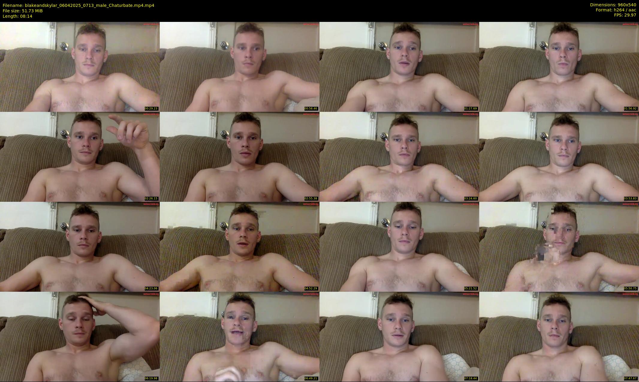 blakeandskylar — 9 minute Chaturbate couple cam show recording, 480p, Apr 6, 2025