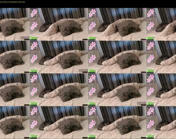 crystalyss — 3 minute Chaturbate female cam show recording, 720p, Apr 7, 2025