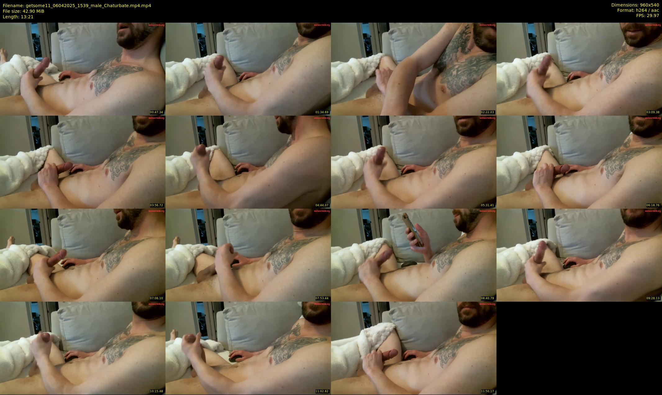 getsome11 — 14 minute Chaturbate male cam show recording, 480p, Apr 6, 2025
