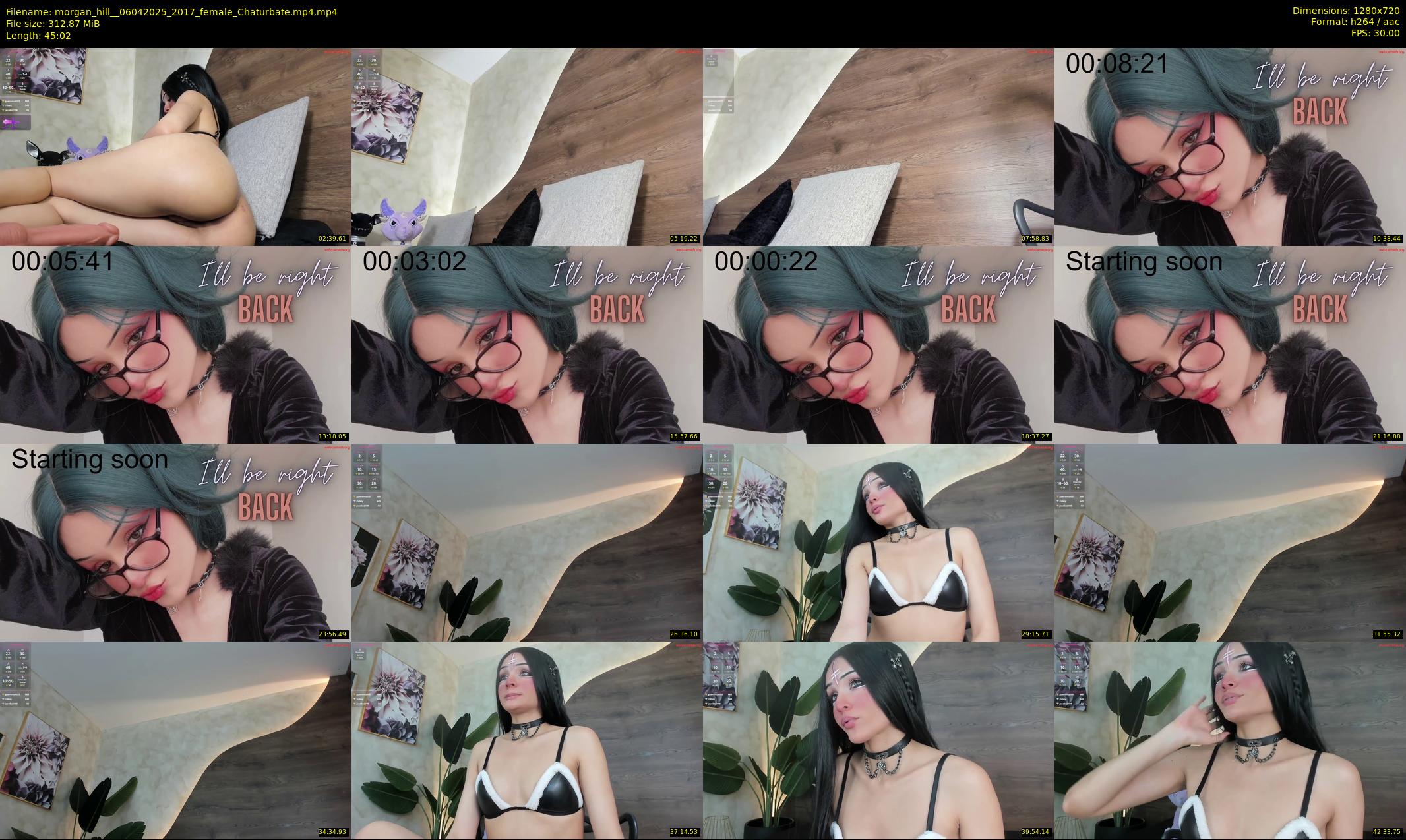 morgan_hill_ — 46 minute Chaturbate female cam show recording, 720p, Apr 6, 2025