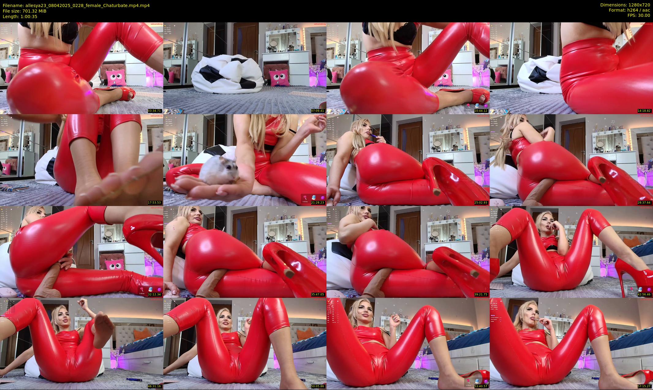 allesya23 — 61 minute Chaturbate female cam show recording, 720p, Apr 8, 2025