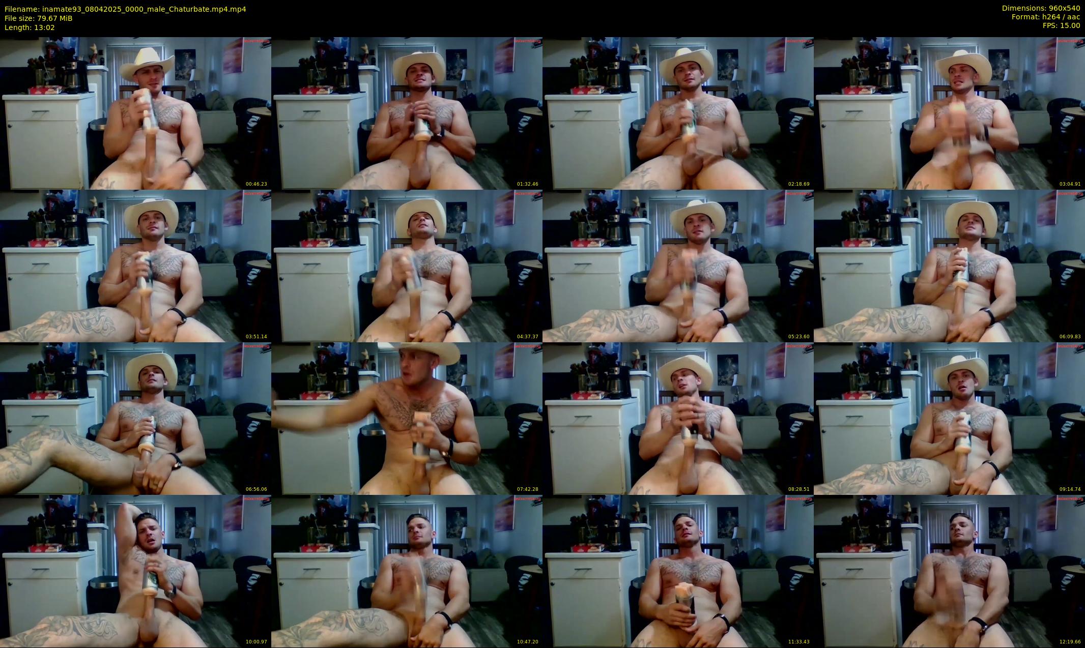 inamate93 — 14 minute Chaturbate male cam show recording, 480p, Apr 8, 2025