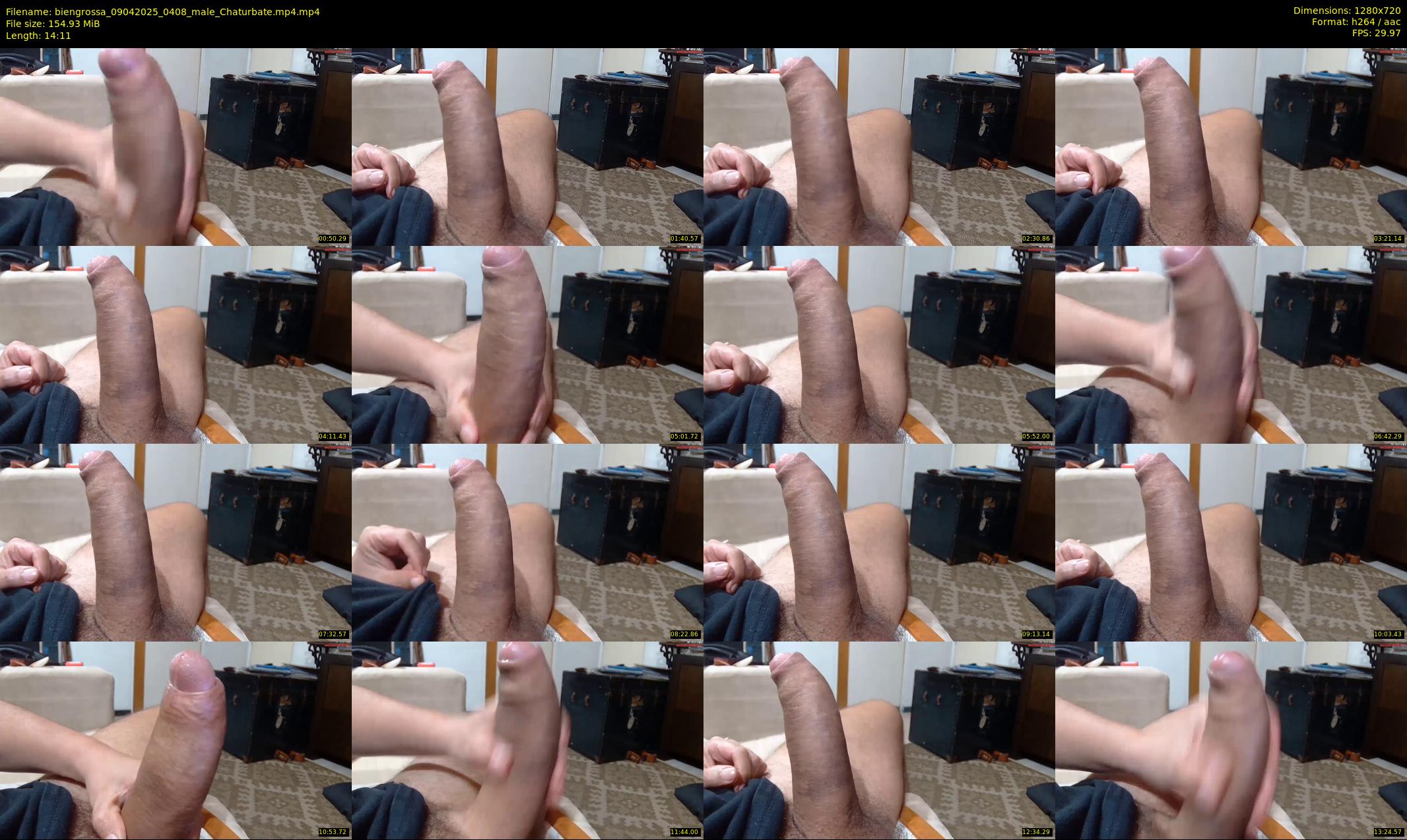 biengrossa — 15 minute Chaturbate male cam show recording, 720p, Apr 9, 2025