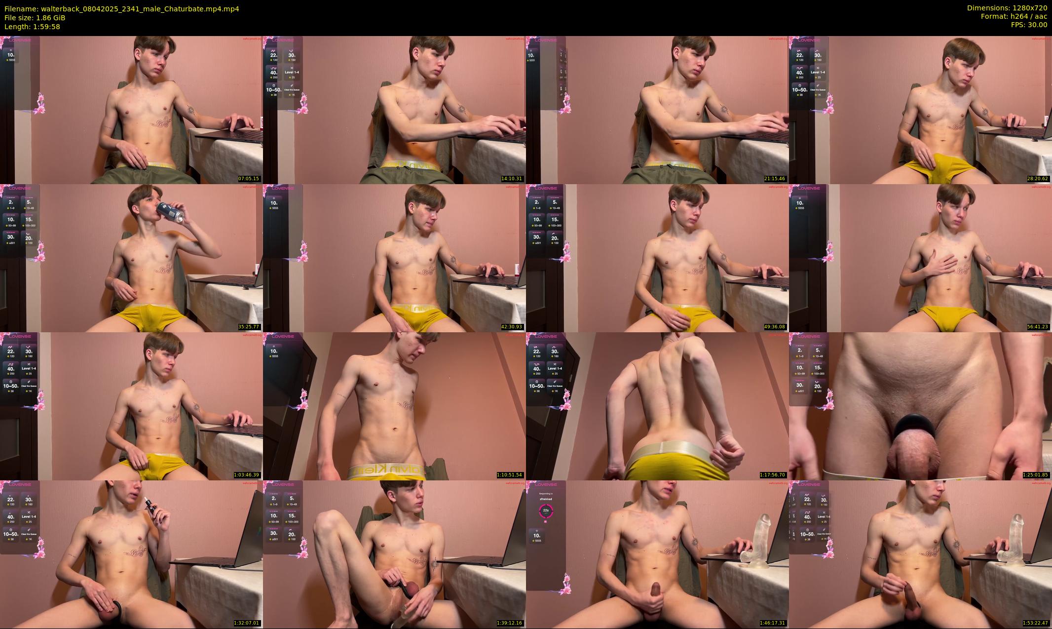 walterback — 120 minute Chaturbate male cam show recording, 720p, Apr 8, 2025
