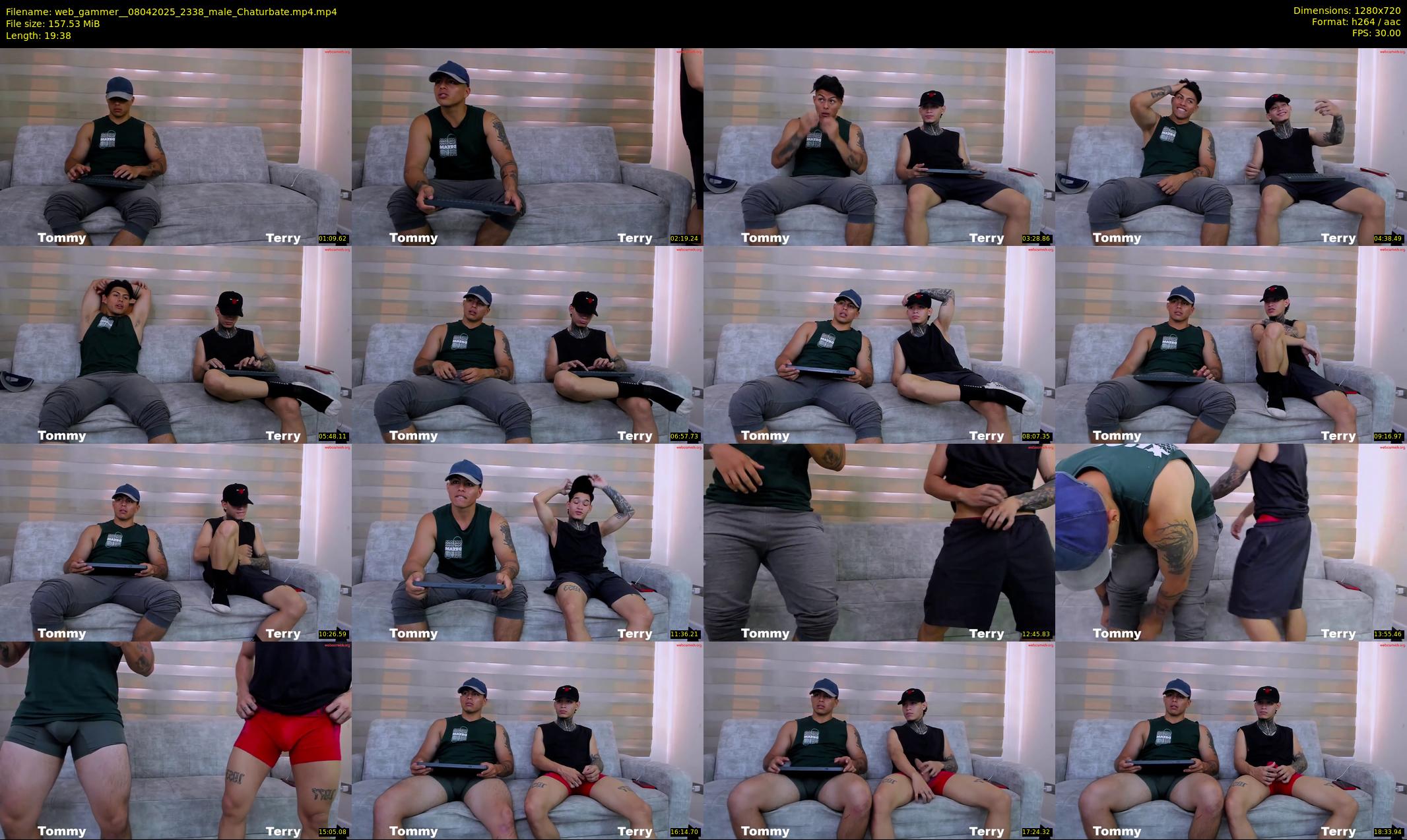 web_gammer_ — 20 minute Chaturbate male cam show recording, 720p, Apr 8, 2025