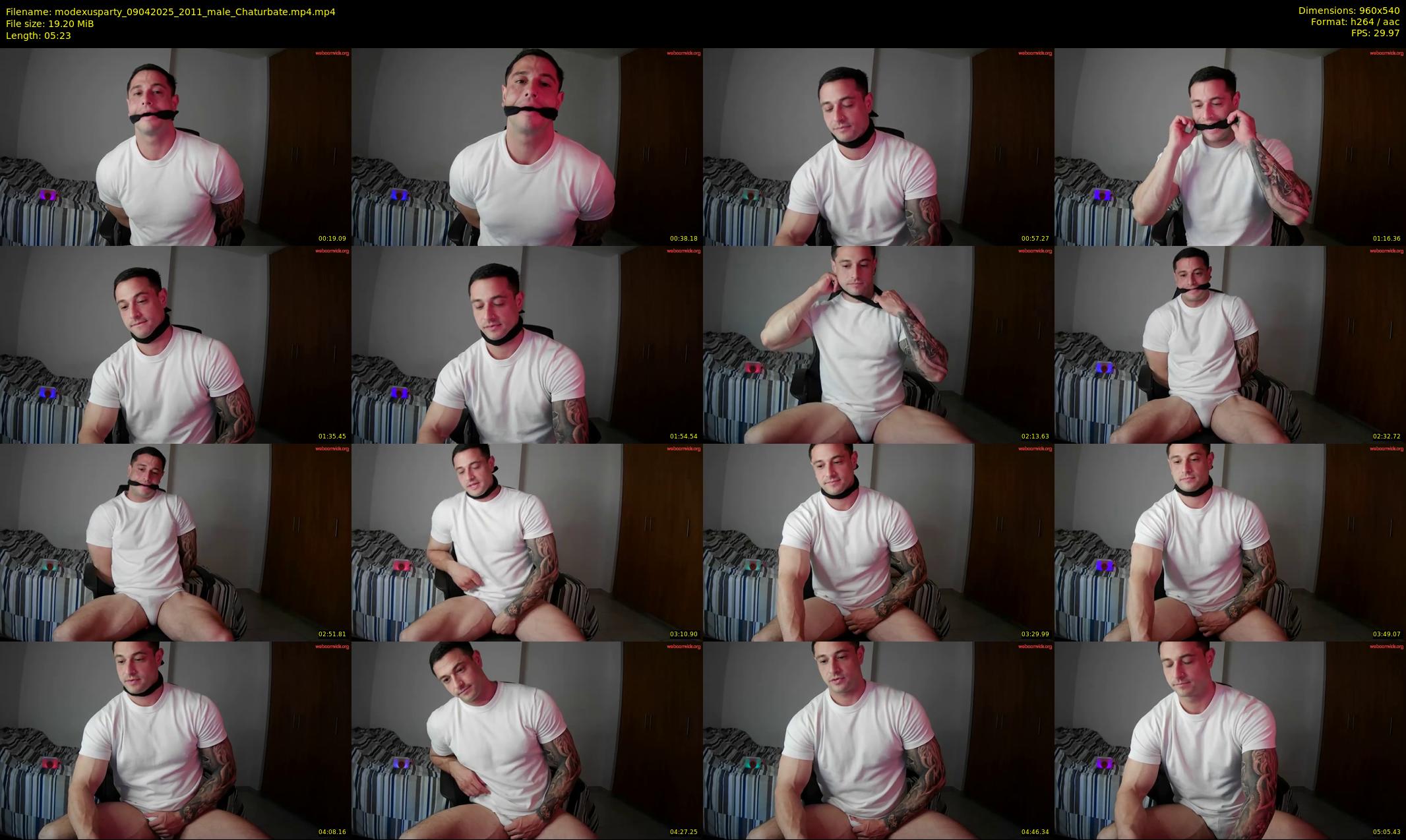 modexusparty — 6 minute Chaturbate male cam show recording, 480p, Apr 9, 2025