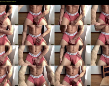 bestdick1991 — 20 minute Chaturbate male cam show recording, 720p, Apr 10, 2025