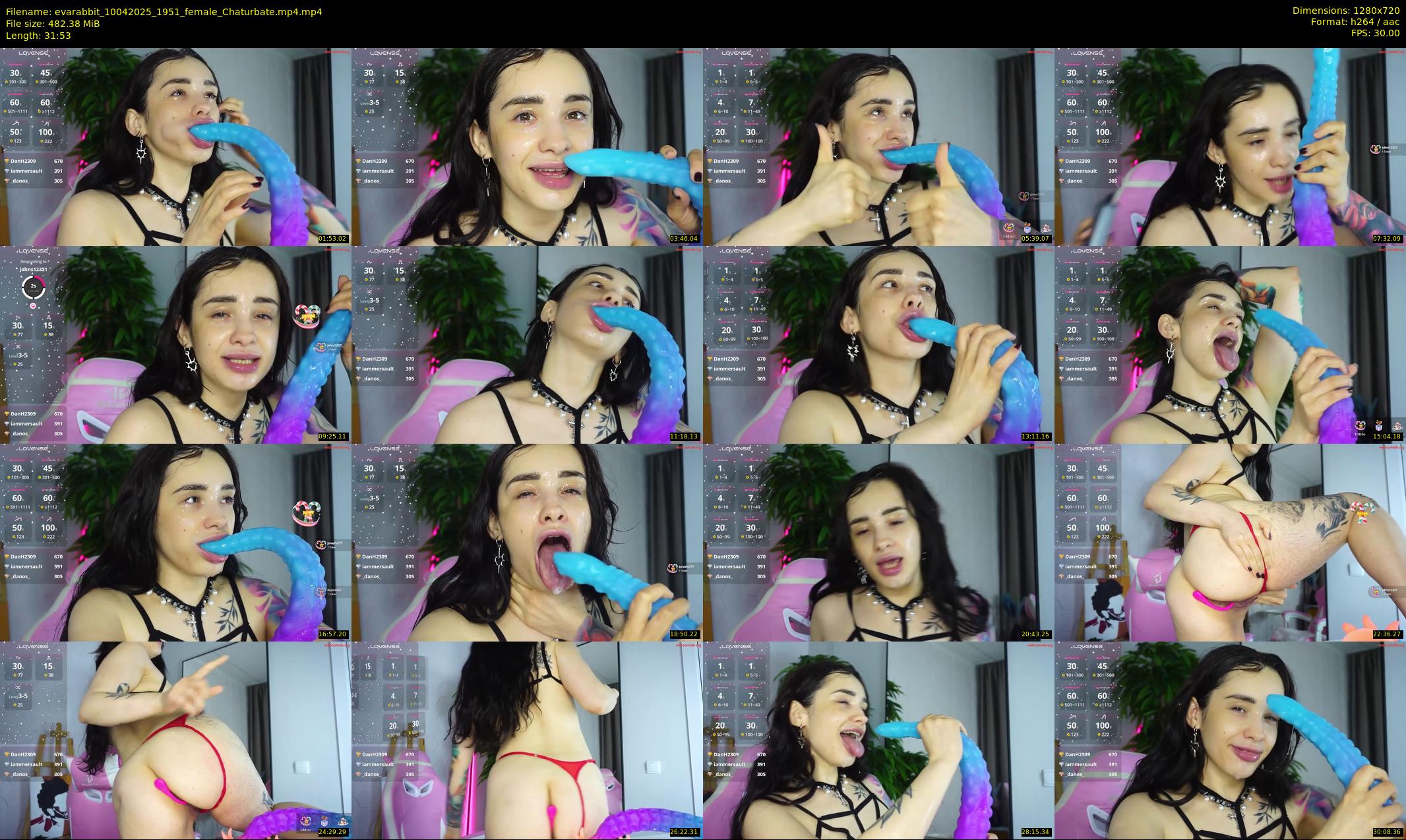 evarabbit — 32 minute Chaturbate female cam show recording, 720p, Apr 10, 2025