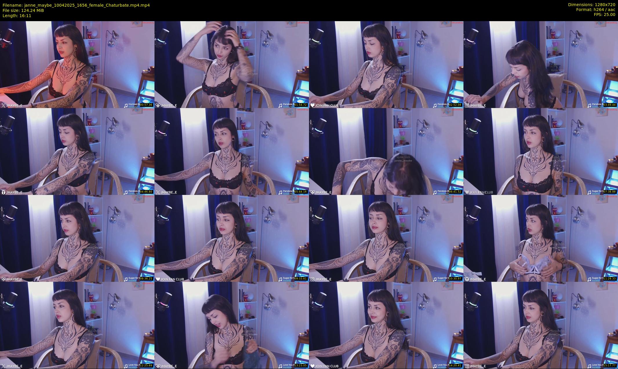 janne_maybe — 17 minute Chaturbate female cam show recording, 720p, Apr 10, 2025