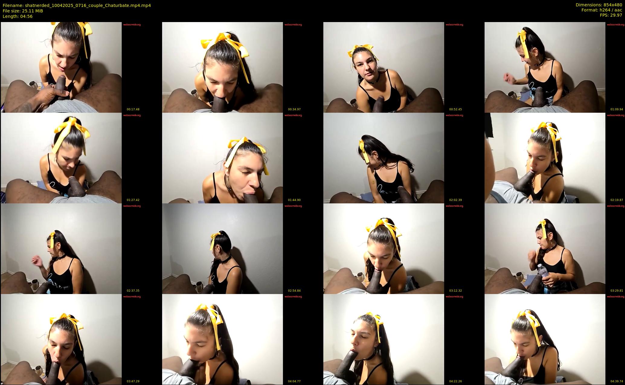 shatnerded — 5 minute Chaturbate couple cam show recording, 480p, Apr 10, 2025